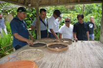 PEMERINTAH KABUPATEN OKU SELATAN MENUJU AGROWISATA KEBUN KOPI DESA KINTAMANI UNTUK MELIHAT PROSES PEMBUATAN KOPI LUWAK DAN BERBAGAI JENIS KOPI