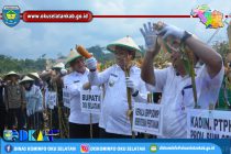 BUPATI DAN WAKIL BUPATI OKU SELATAN IKUT PANEN RAYA JAGUNG HIBRIDA DI DESA GEMIUNG