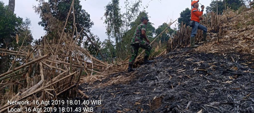 DUA TITIK HOTSPOT TERDETEKSI, BPBD OKU SELATAN HIMBAU MASYARAKAT TIDAK BAKAR LAHAN DAN PATUHI HUKUM KARHUTLA