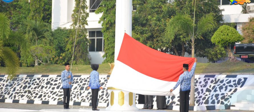 PEMKAB OKU SELATAN GELAR UPACARA HKN, SEKRETARIS DAERAH MENJADI INSPEKTUR UPACARA