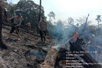 SATU TITIK HOT SPOT TERDETEKSI, KAPOLRES OKU SELATAN PIMPIN LANGSUNG PEMADAMAN API KARHUTLA