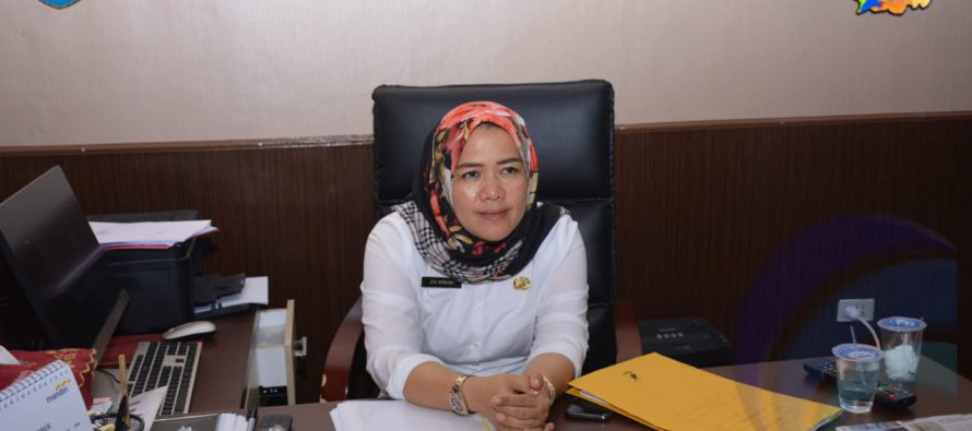 KUOTA PENERIMAAN CPNS DI KABUPATEN OKU SELATAN TAHUN 2019 SEBANYAK 127 ORANG