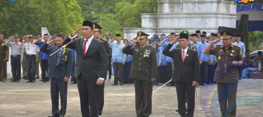 BUPATI OKU SELATAN PIMPIN UPACARA PERINGATAN HARI PAHLAWAN TAHUN 2019 DI KABUPATEN OKU SELATAN