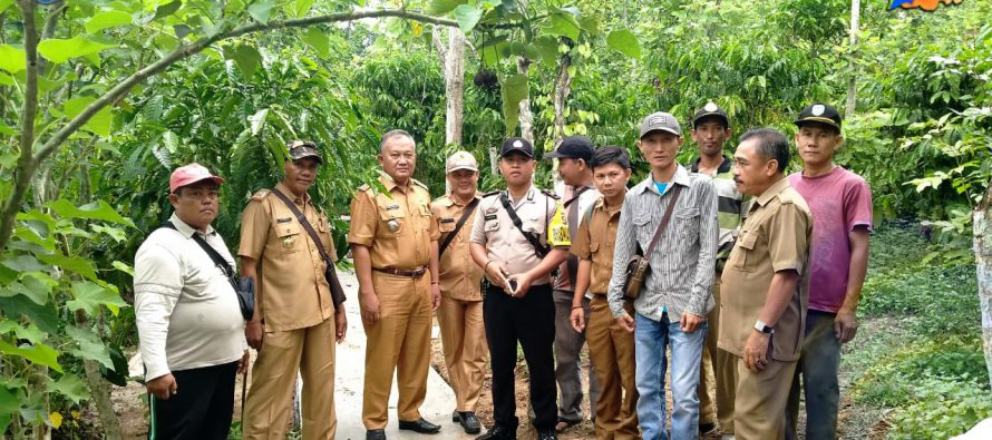 CAMAT BUANA PEMACA MONITORING PEMBANGUNAN JALAN SETAPAK DUSUN III DATARAN AJAN LEBAR DESA TANJUNG BERINGIN KECAMATAN BUANA PEMACA