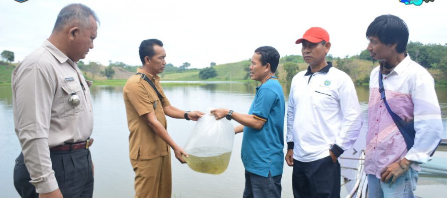 DINAS PERIKANAN DAN PETERNAKAN KABUPATEN OKU SELATAN RESTOCKING 15.000  IKAN SEMAH DI SUNGAI SAKA SELABUNG  DAN 54.000 IKAN TAWES DI DANAU KASMARAN DESA GEMIUNG