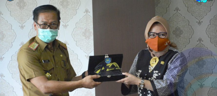 PEMERINTAH KABUPATEN OKU SELATAN TERIMA LANGSUNG KUNJUNGAN KERJA DPD RI TAHUN 2020