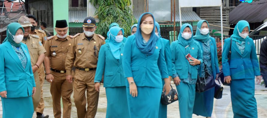 EKSISTENSI TP PKK DESA DIHARAPKAN DUKUNG KEMAJUAN DESA DI OKU SELATAN