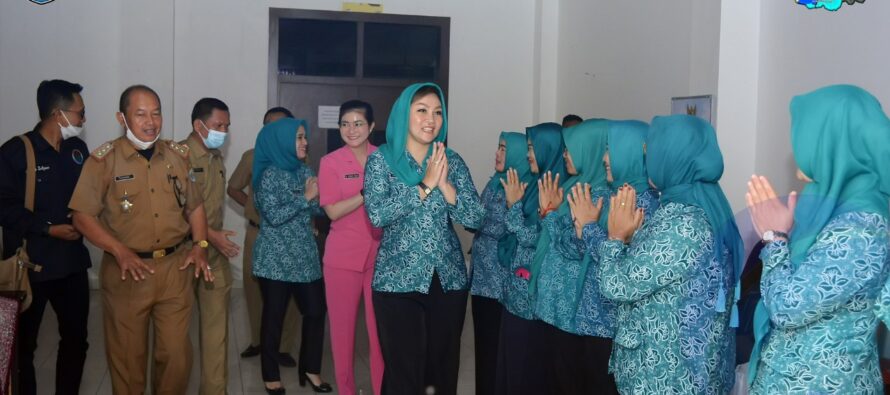 TIM PENGGERAK PKK OKU SELATAN DORONG PERTUMBUHAN TAMAN BACA DI SETIAP DESA/KELURAHAN DI BUMI SERASAN SEANDANAN