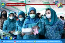 HJ FEBRITA LUSTIA HERMAN DERU APRESIASI PROGRAM KERJA DAN PEMBINAAN YANG DILAKUKAN TP PKK OKU SELATAN