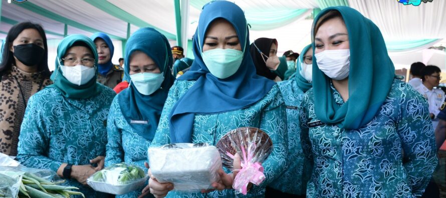 HJ FEBRITA LUSTIA HERMAN DERU APRESIASI PROGRAM KERJA DAN PEMBINAAN YANG DILAKUKAN TP PKK OKU SELATAN