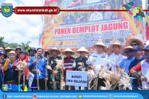 OKU SELATAN DIDORONG UNTUK JADI SENTRA JAGUNG BUMI SRIWIJAYA