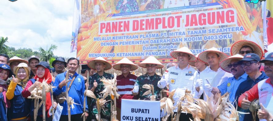 OKU SELATAN DIDORONG UNTUK JADI SENTRA JAGUNG BUMI SRIWIJAYA
