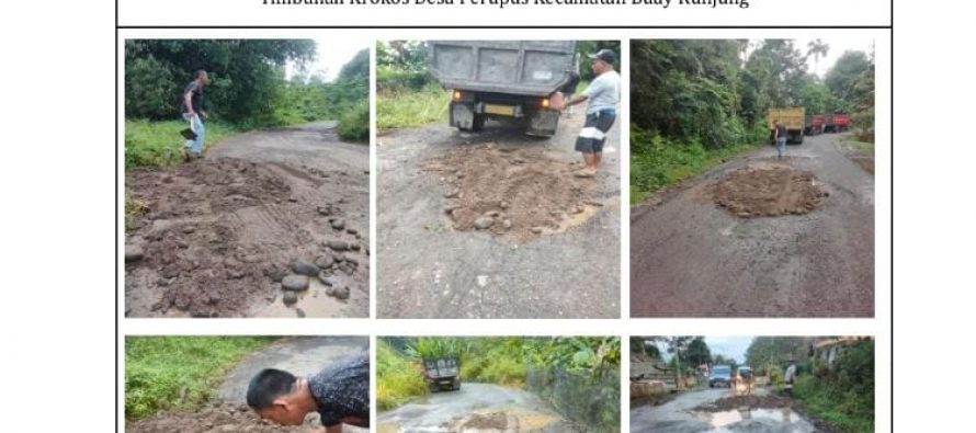 PEMKAB OKU SELATAN LAKUKAN PENIMBUNAN AGREGAT PADA LUBANG DI RUAS JALAN SIMPANG HAJI-SIMPANG LUBUK DALAM