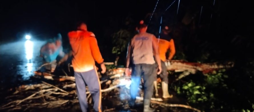 MUSIM PENGHUJAN RAWAN POHON TUMBANG, BUPATI IMBAU PENGGUNA JALAN UNTUK HATI-HATI