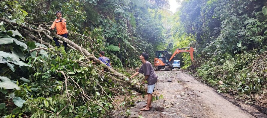 PEMKAB OKU SELATAN MELALUI TIM BPBD,TELAH SELESAI MENGEVAKUASI MATERIAL BENCANA TANAH LONGSOR DAN POHON TUMBANG DI KECAMATAN BPRRT.