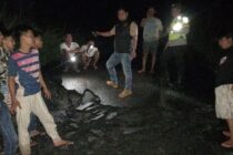 WASPADAI BENCANA DI MUSIM HUJAN, BUPATI OKU SELATAN AJAK MASYARAKAT BERSAMA MENJAGA ALAM