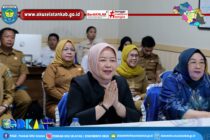 RAPAT KOORDINASI PROGRES PENULISAN BUKU CERITA ANAK OLEH BUNDA PAUD KABUPATEN OKU SELATAN BERSAMA PT PENERBIT ERLANGGA SECARA DARING.