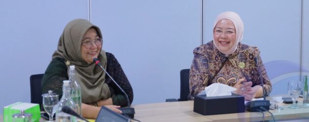 AUDIENSI KE DIREKTORAT PAUD, KEMENDIKDASMEN, BUNDA PAUD OKU SELATAN DORONG PENGUATAN LAYANAN PAUD BERKUALITAS