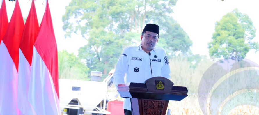 PANEN RAYA JAGUNG DI OKU SELATAN, BUPATI ABUSAMA TEGASKAN DUKUNGAN SWASEMBADA PANGAN NASIONAL