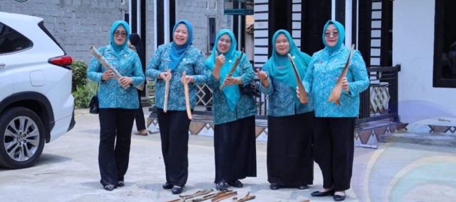 TP PKK OKU SELATAN BERIKAN PEMBINAAN AKU HATINYA PKK DI DESA SIPATUHU I