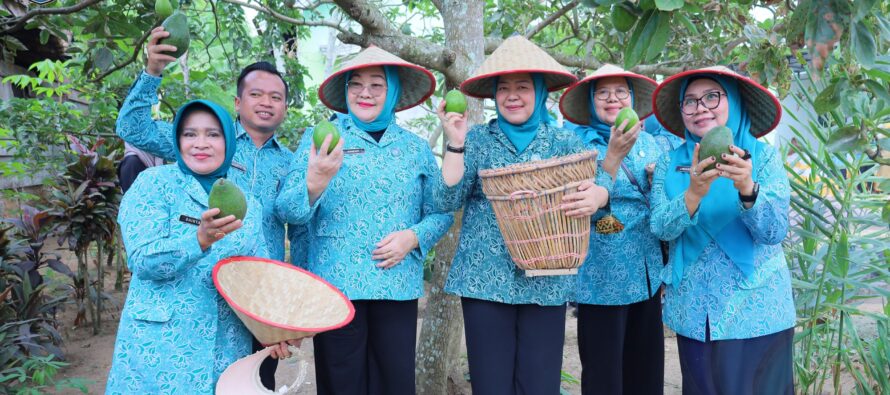 TP PKK OKU SELATAN IKUTI PENILAIAN LOMBA AKU HATINYA PKK TINGKAT PROVINSI SUMATERA SELATAN DI DESA SIPATUHU I